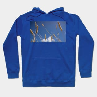 Seed heads. Hoodie